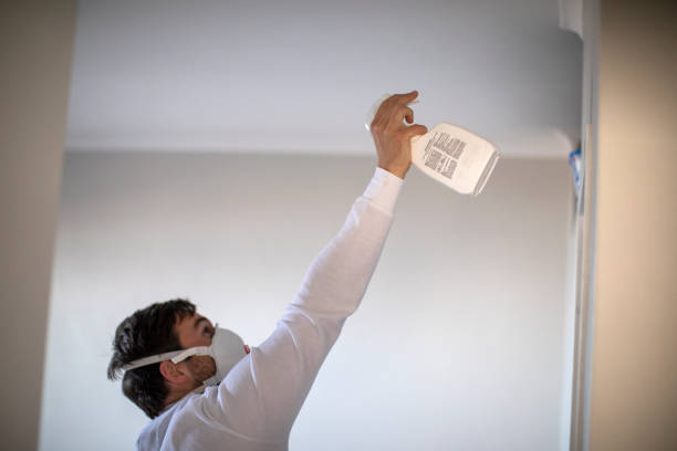 Best Best Mold Removal Companies  in Twin Lake, MI