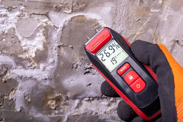 Best Certified Mold Removal  in Twin Lake, MI