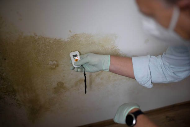 Water Damage Restoration in Twin Lake, MI