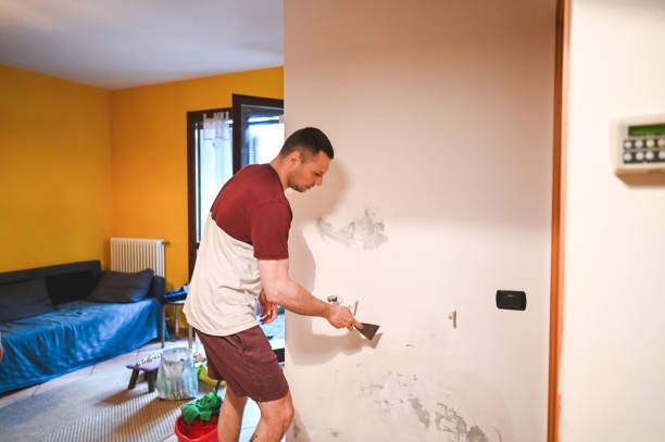 Best Toxic Mold Removal  in Twin Lake, MI