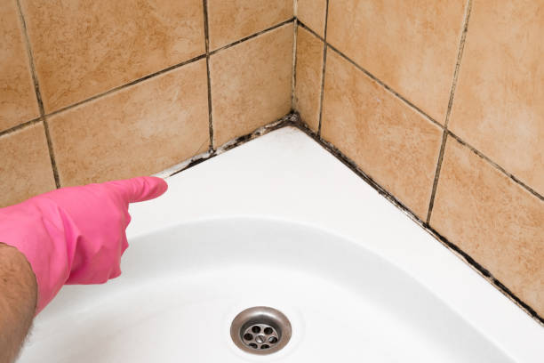Best Mold Testing  in Twin Lake, MI